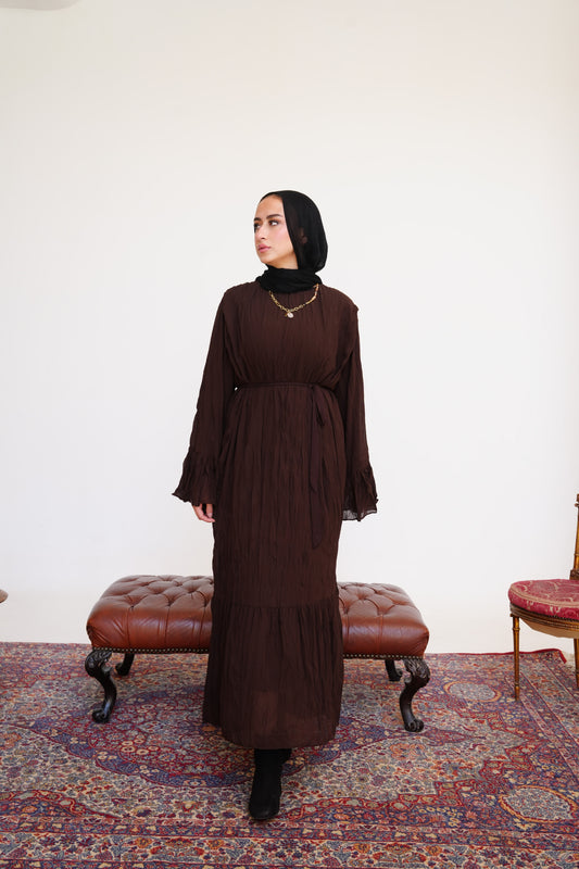 Sunshine Pleated Chiffon Dress in Brown