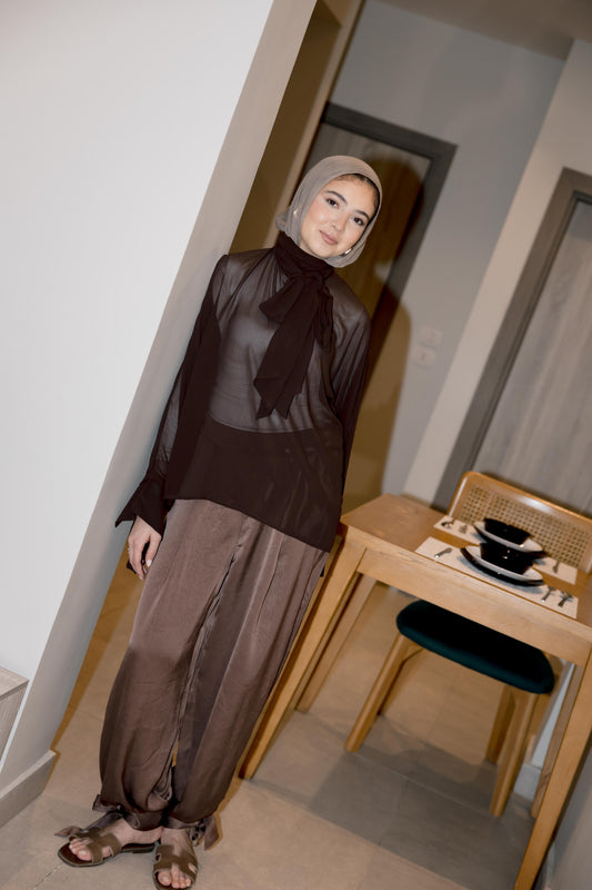 Satin Balloon Pants in Brown